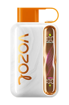Vozol Star 40000 Puff 40k China Factory Wholesale best
